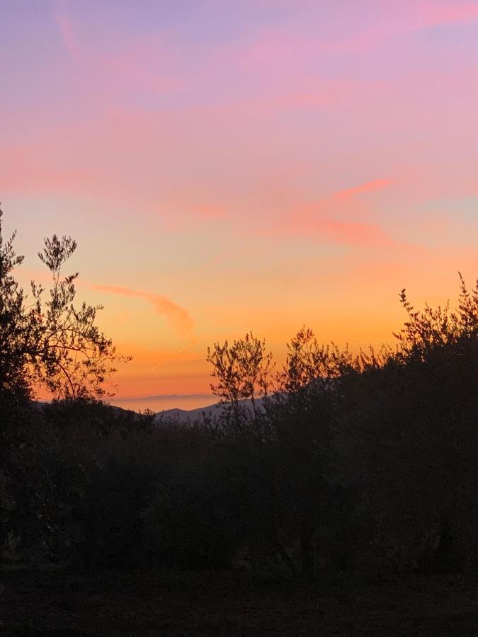 Finca Las Fuentezuelas Carataunas エクステリア 写真